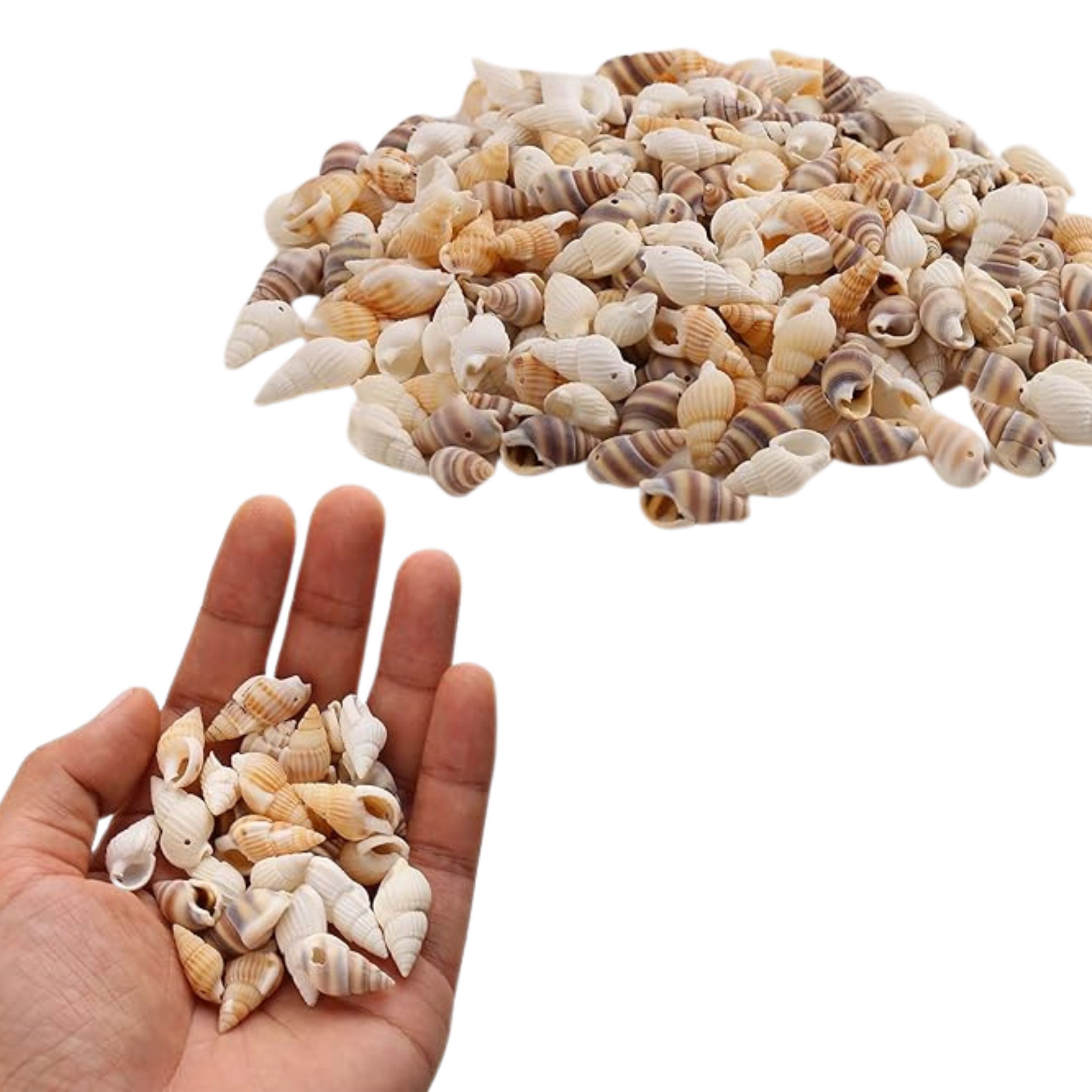 Małe muszelki morskie brązowe muszle do dekoracji akwarium wazonu 250g