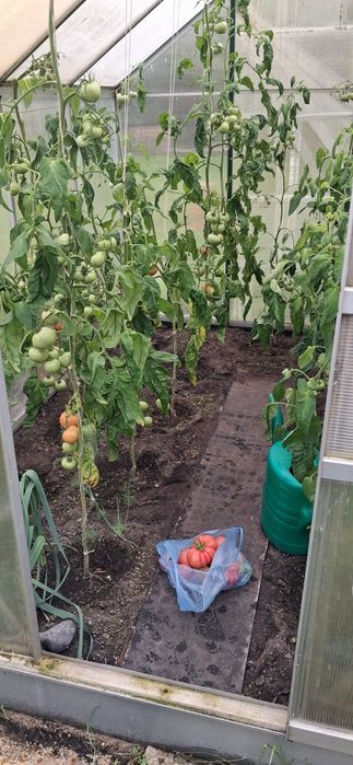 Dzialka rod Im.w.Sikorskiego w gdyni