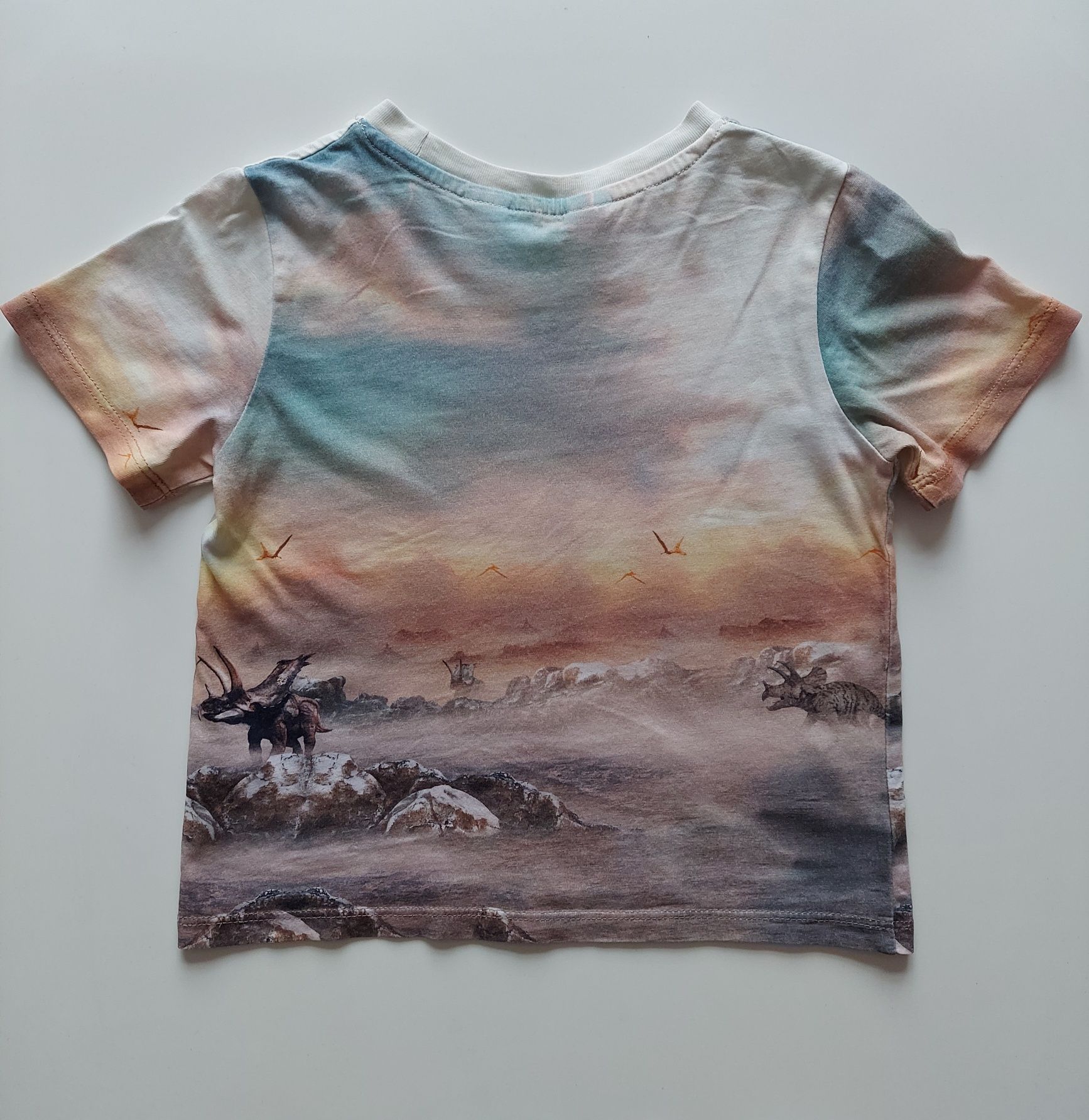 T-shirt w krainie dinozaurów firmy h&m w rozmiarze 92