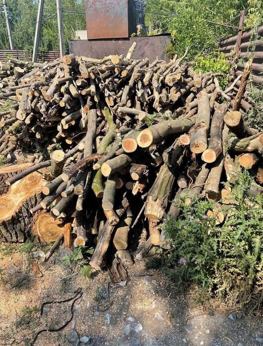 Дрова колоті найнижча ціна з доставкою дуб клен берест акація ясень