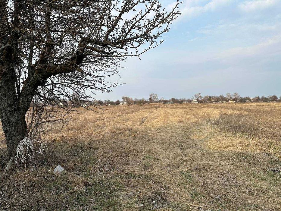 Продаж будинку з великою ділянкою 40 соток у селі Анисів