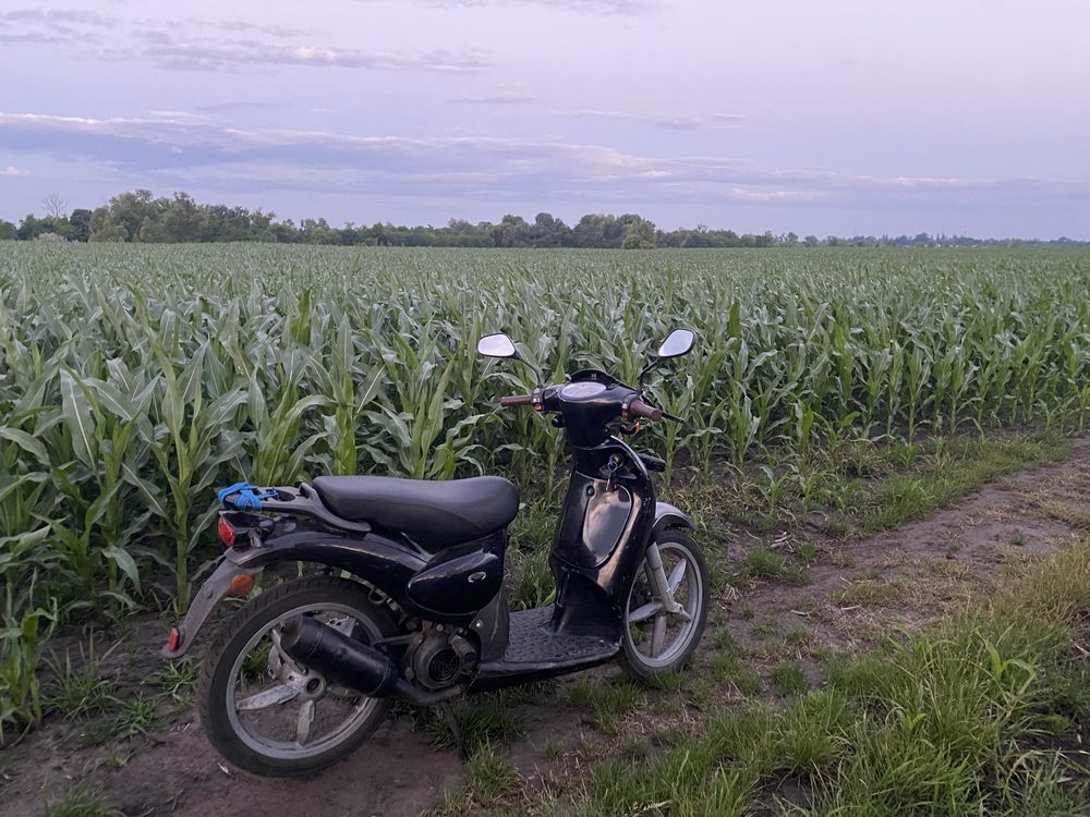 Aprilia scarabeo