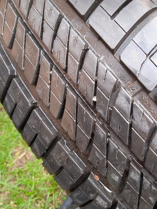 Opony letnie Dębica Passio