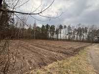 Działka budowlana z lasem Wolica Pierwsza koło Modliborzyc