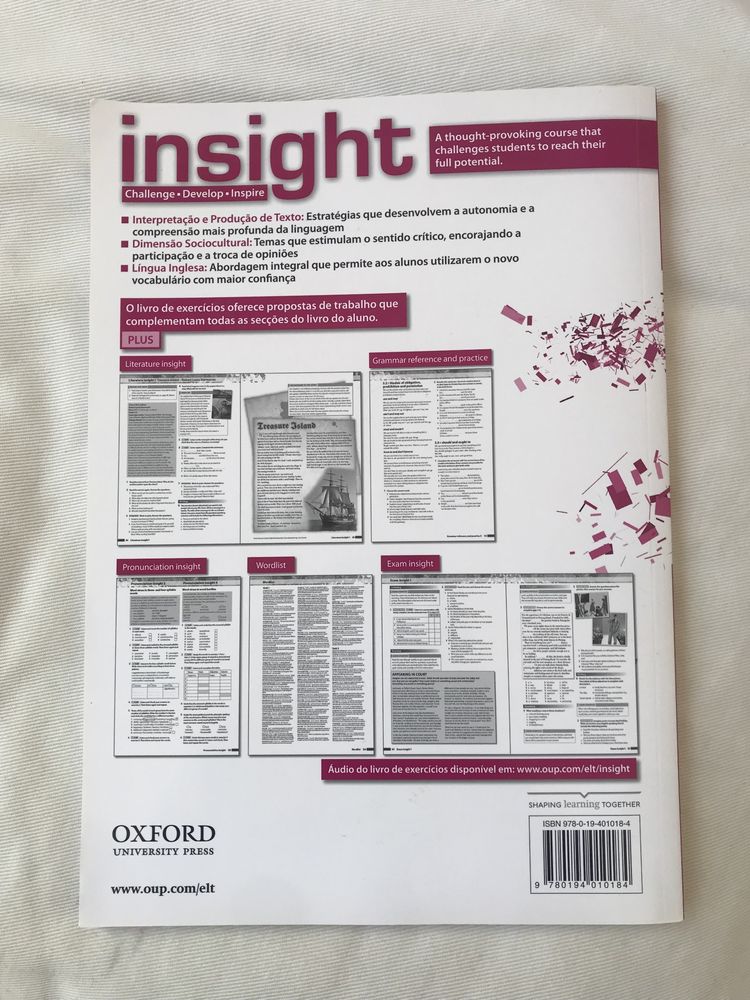 Insight 11 Ano livro de exercicios