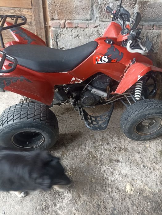 Quad cpi 250 , barrosa (zarejestrowany)