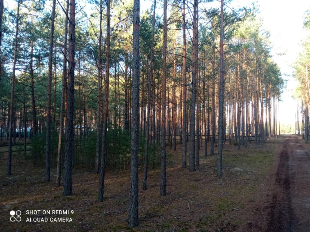 Wyjątkowa działka z dostępem do lini brzegowej , Zalew Sulejowski