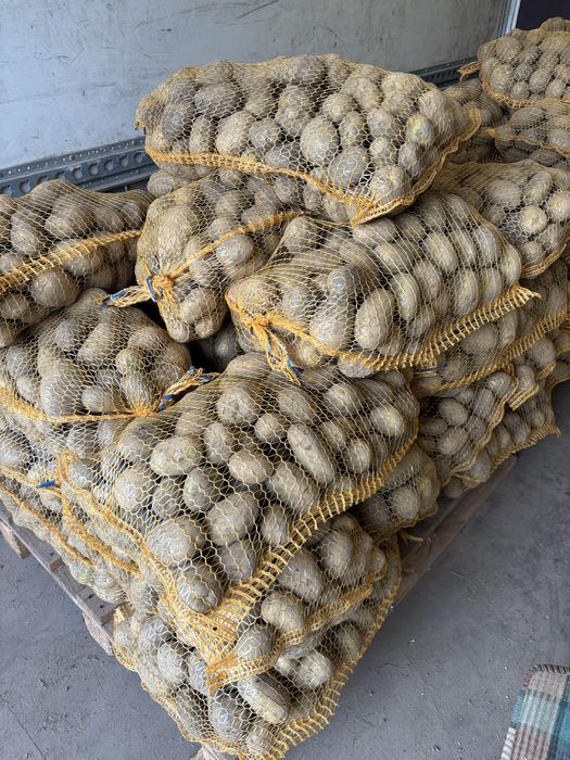 Ziemniaki sprzedaz paletowa 0,80gr kg