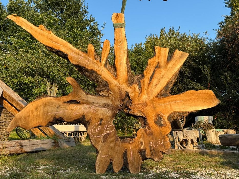 Monolity dębowe półtora roku po przetarciu