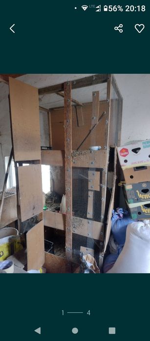 Klatki dla ptaków królików