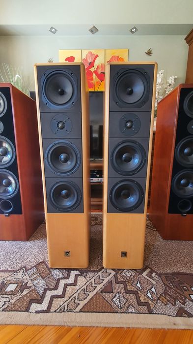 Bezbłędnie punktowy bass kolumny IQ system 200 rozdzielczość jakość