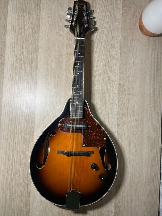 Mandolin/bandolim Ibanez M510E eletro acústico