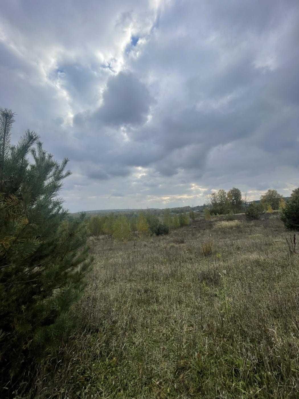 Земельна ділянка в Лісових Гринівцях
