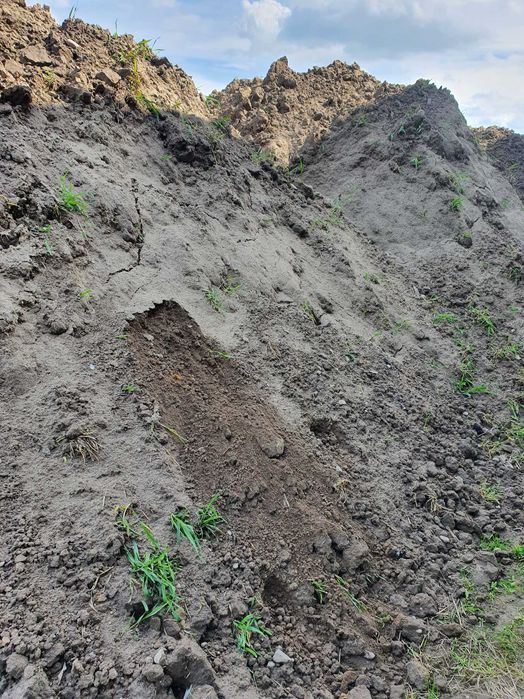 Ziemia humus pod trawnik 10 ton z transportem TANIO