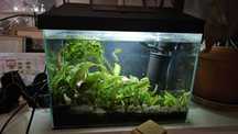 Akwarium 30l zestaw