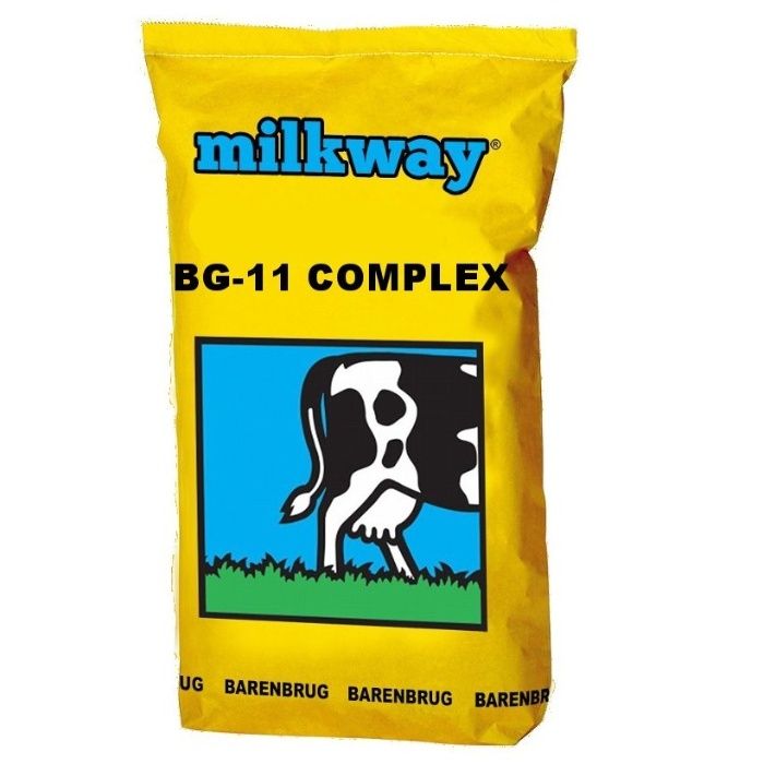 Barenbrug BG-11 Milkway Complex TRAWA PASTEWNA 15KG