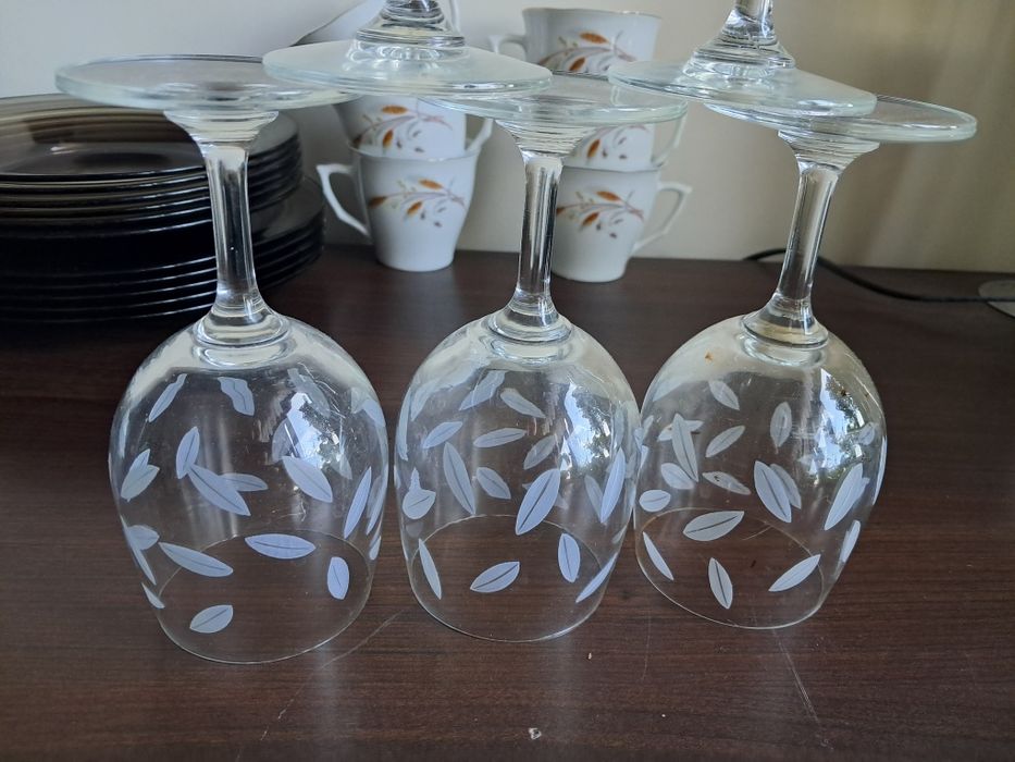 5 sztuk kieliszki do wina z listkami