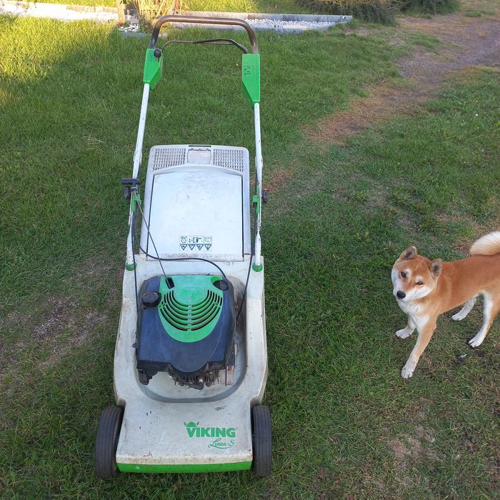 Kosiarka spalinowa viking mb505