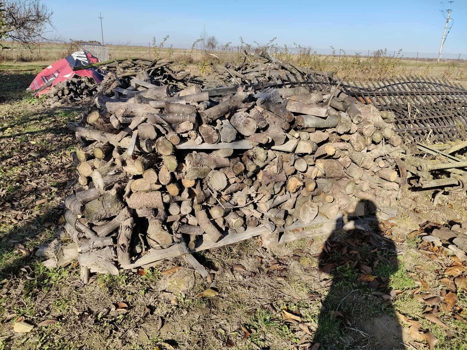 DREWNO OPAŁOWE – jabłoń, czereśnia – gotowe do palenia