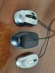 Ratos para computador