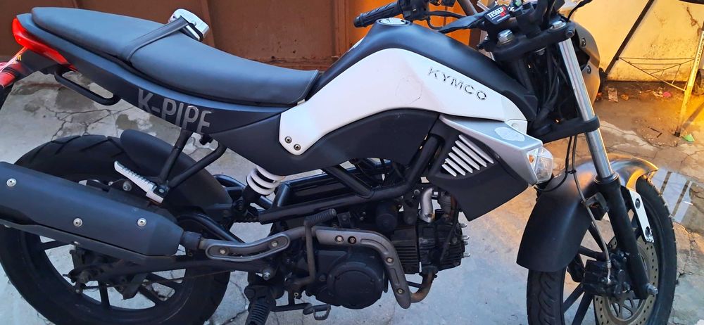 moto 124cc kinko automática