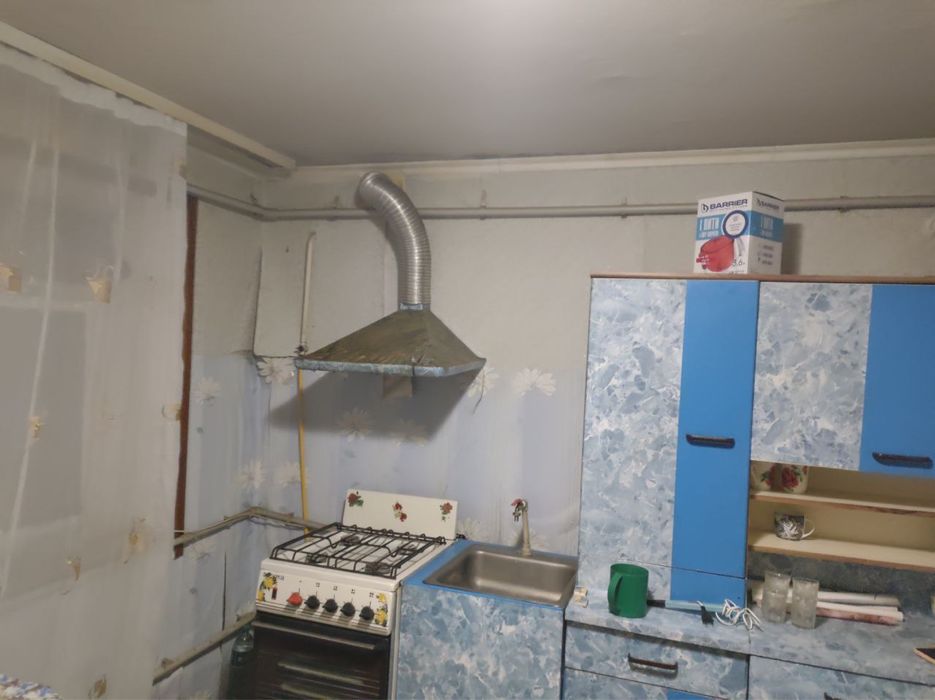 Приватизований будинок із газом і санвузлом біля соснового лісу дом