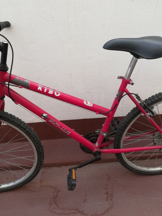 Bicicleta de mulher ou home