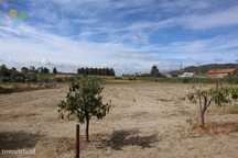 Terreno - Belmonte