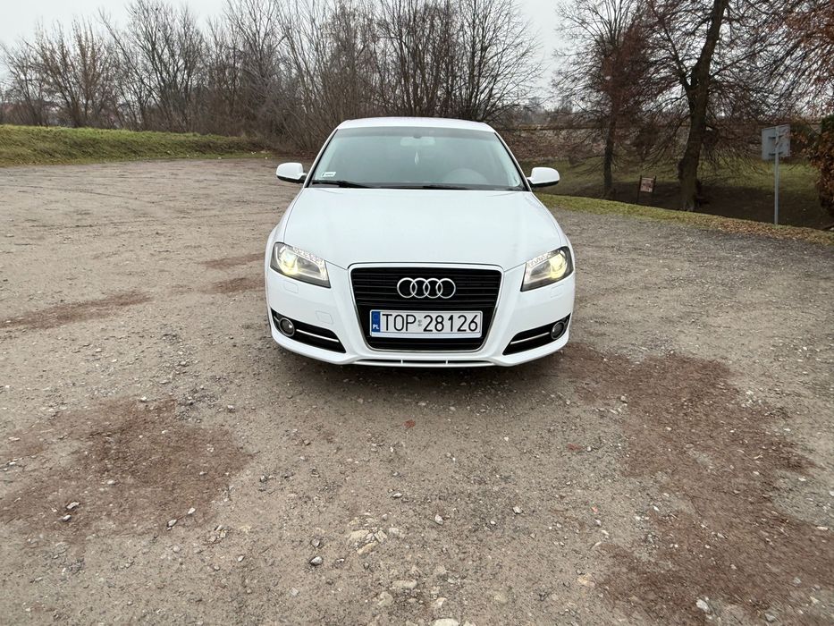 Audi A3 8P 1.6 TDI 2011 Rok