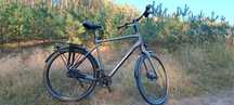 Rower Giant Any Tour CS