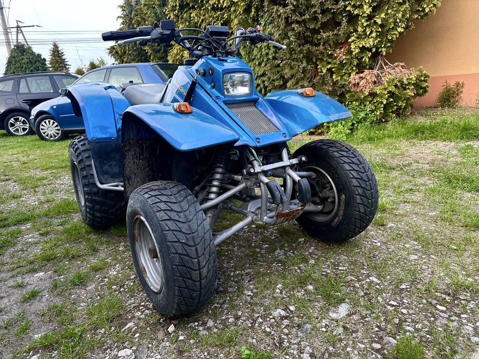 Quad Kawasaki rok 2004 Sportowy, Możliwa zamiana