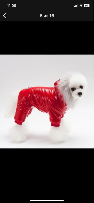 Зимняя одежда для маленьких и средних собак