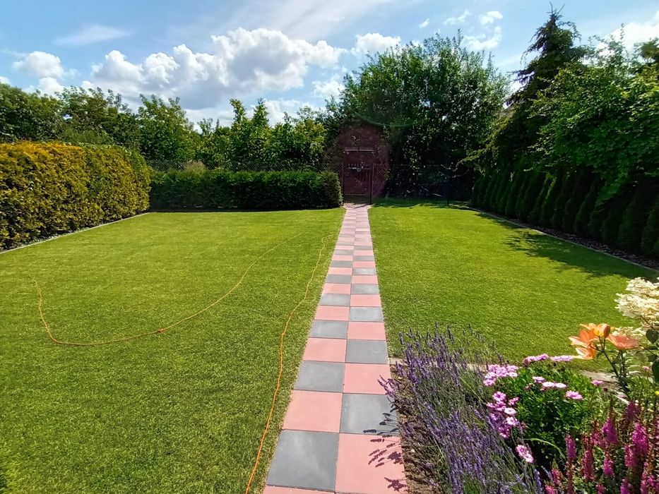 Działka ROD w centrum Torunia