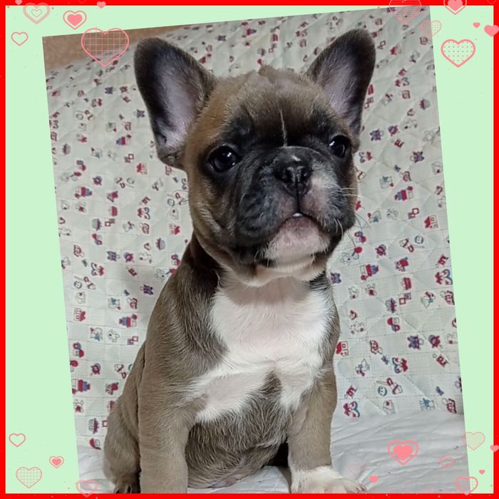 Неймовірно красиві