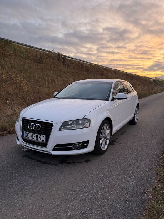 Audi A3 3-drzwiowe Bardzo ładne Audi a3 8p 1.6TDI