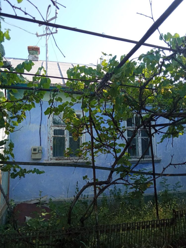Будинок , гараж літня ,  кухня  , хлів