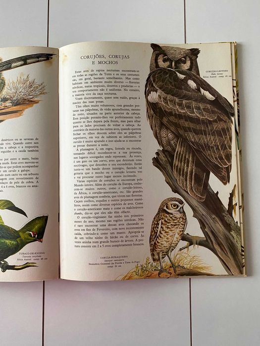 O Grande Livro das Aves 1970 (ctt grátis)