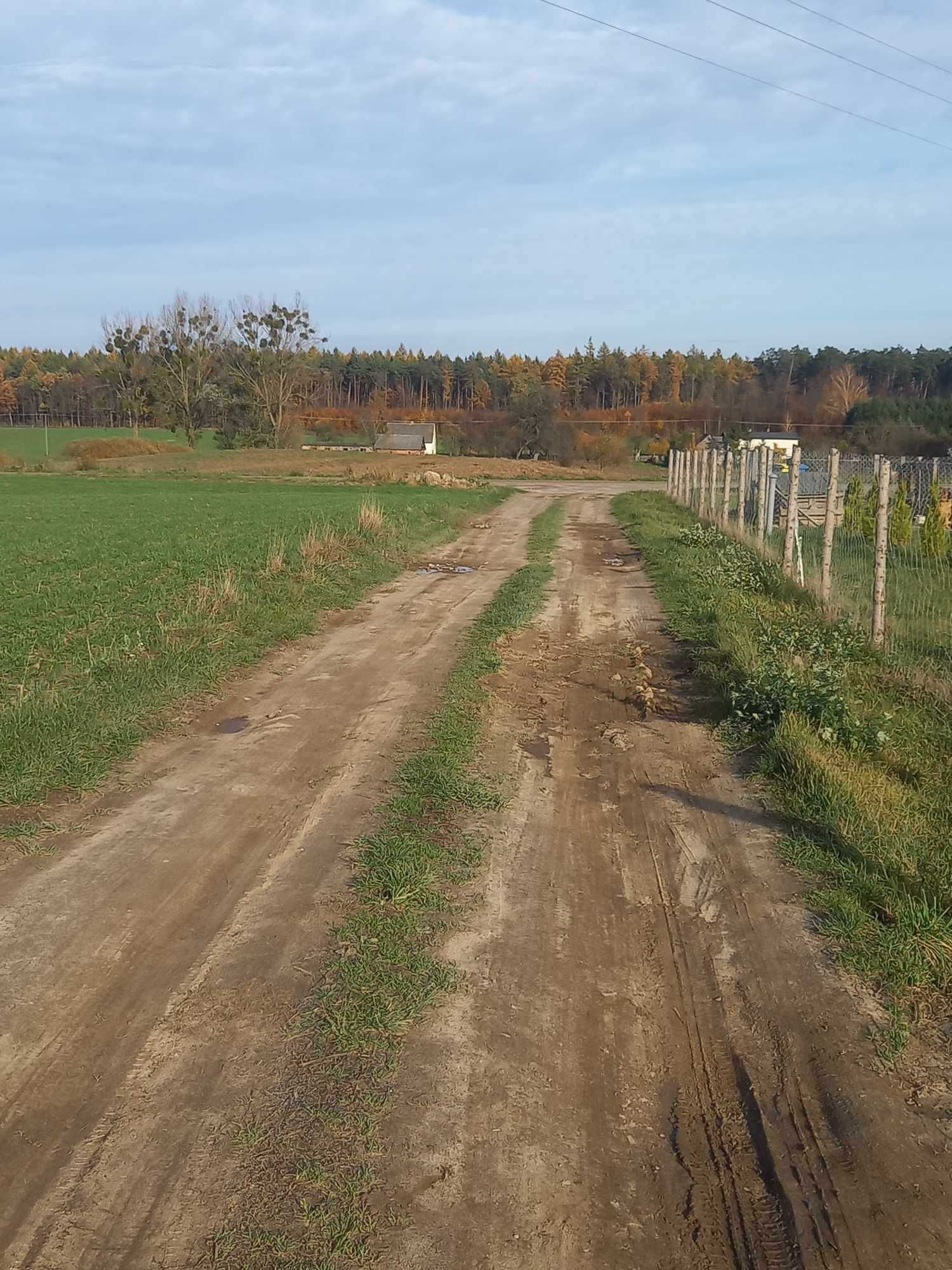 Działka budowlana Ciche