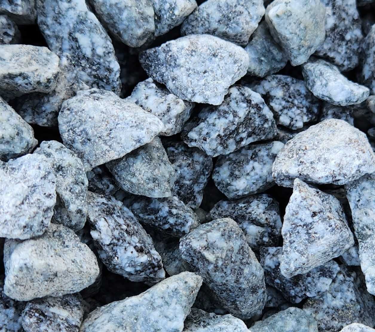 Grys Granodioryt 11-16 mm Dalmatyńczyk grysik ozdobny kamień