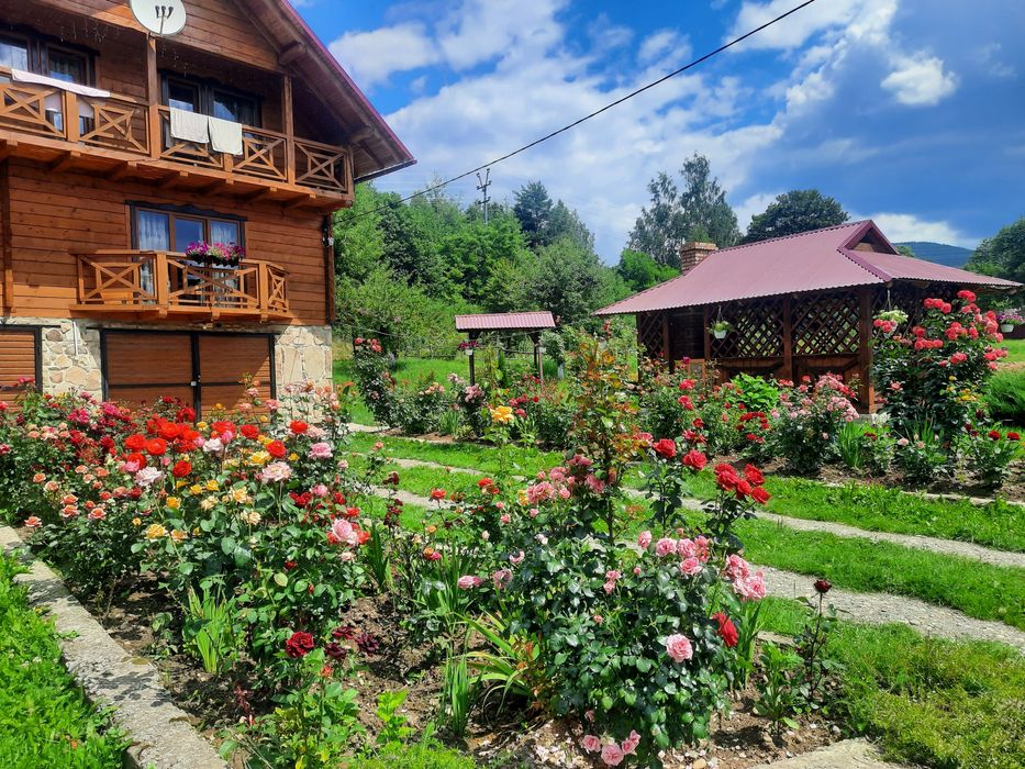 Затишний відпочинок  у Карпатах