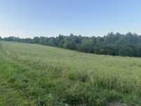 Dobrzechów dzialka rolna