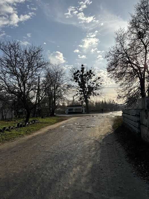 Сдам часть дома, свой двор, Холодная гора