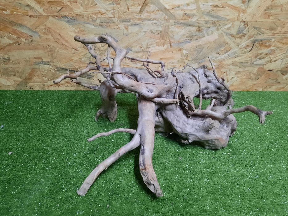 Korzeń do akwarium Red Moore Wood nr 813 o wymiarach 44/28/27