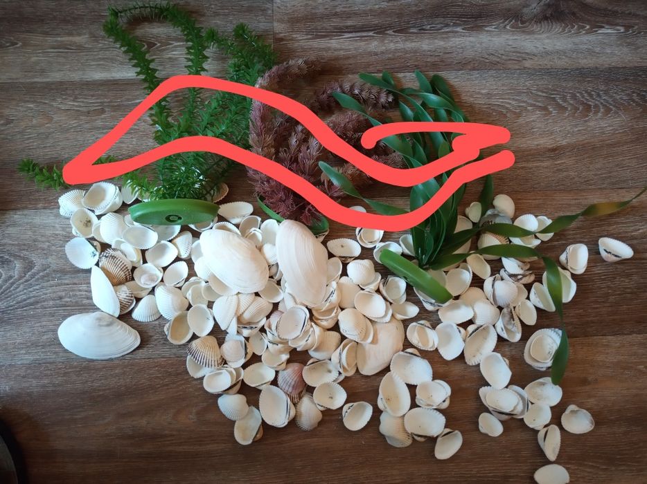 Ракушки,камни морские для декора аквариума.