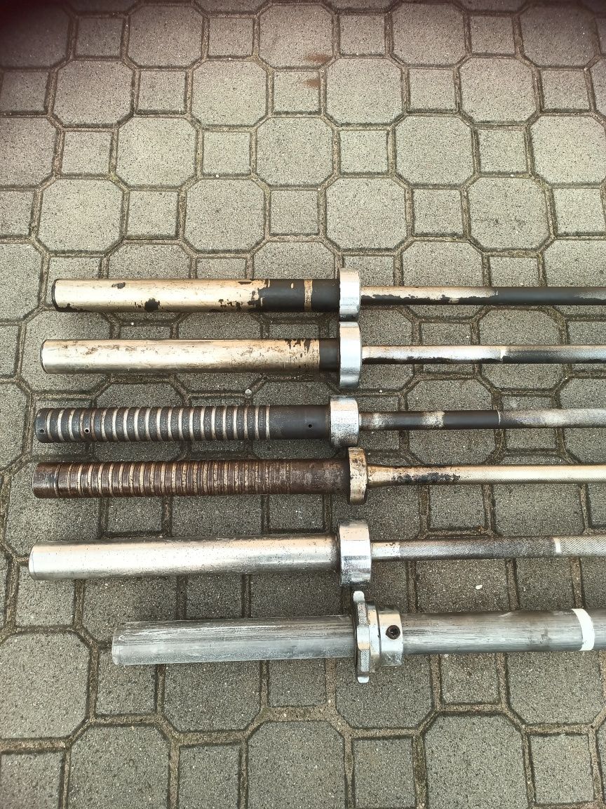 Gryf olimpijski Polsport Hes Wostok