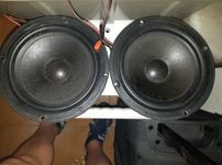 Speakers celestion b2004