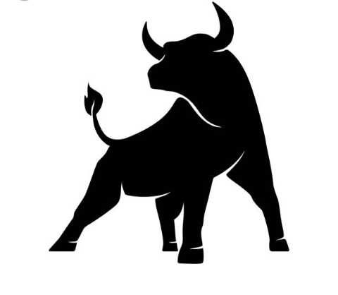 Продам молодих биків