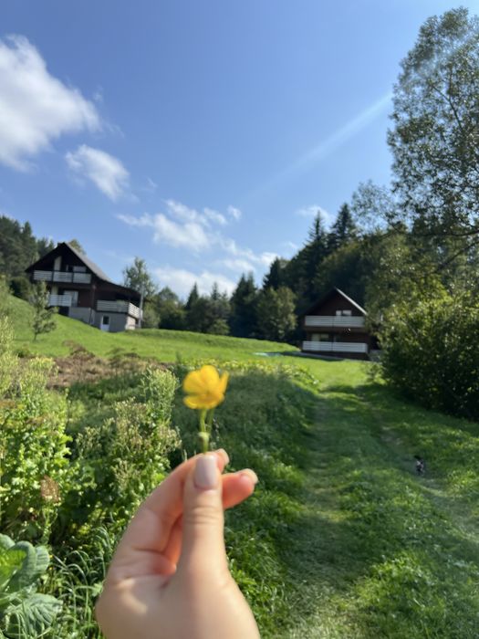 Відпочинок в Карпатах.Чан,сауна. Оренда будинку в горах