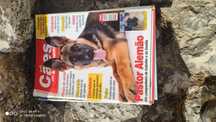 Revistas de Animais