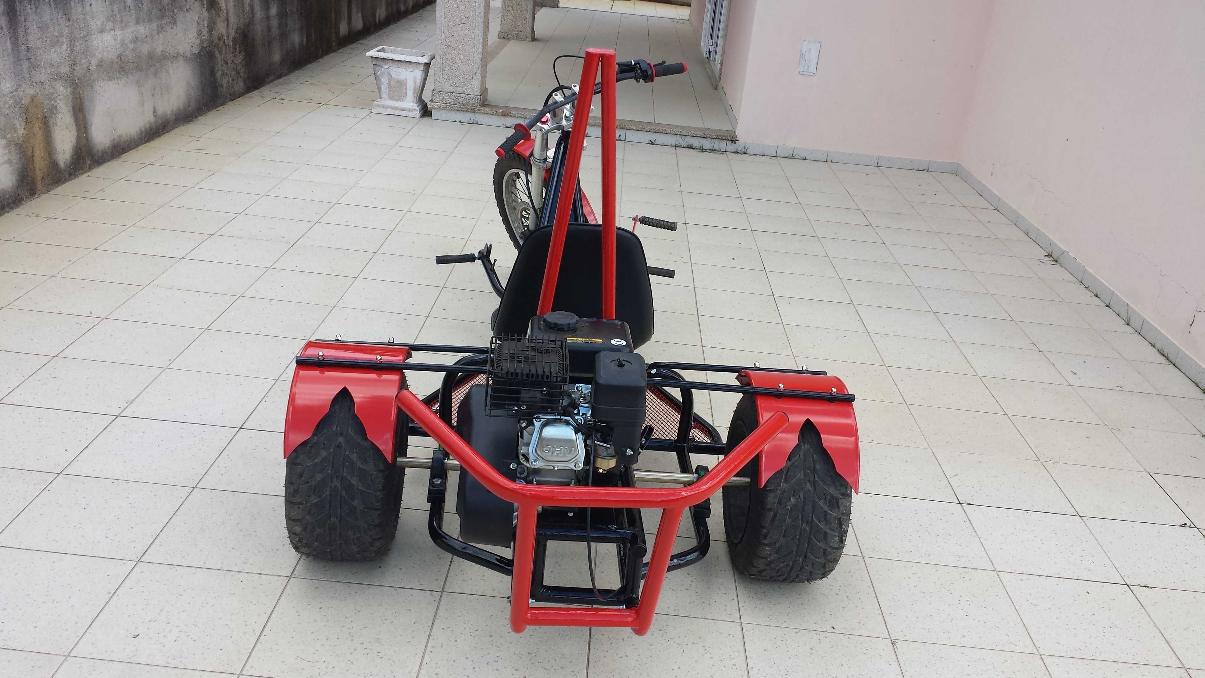 Triciclo Motorizado